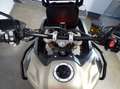 Triumph Tiger 900 RALLY PRO Zwart - thumbnail 9