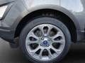 Ford EcoSport Titanium B&O | WINTER-PAKET | DAB+ Gris - thumbnail 9