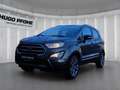 Ford EcoSport Titanium B&O | WINTER-PAKET | DAB+ Gris - thumbnail 1