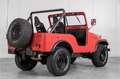 Oldtimer Willys M38A1 Rood - thumbnail 2