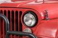Oldtimer Willys M38A1 Rouge - thumbnail 16