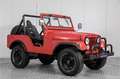 Oldtimer Willys M38A1 Rosso - thumbnail 6