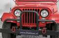 Oldtimer Willys M38A1 Rouge - thumbnail 21