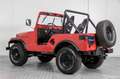 Oldtimer Willys M38A1 Rouge - thumbnail 7