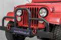 Oldtimer Willys M38A1 Rouge - thumbnail 17