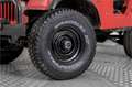 Oldtimer Willys M38A1 Rosso - thumbnail 4
