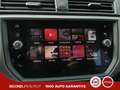 SEAT Ibiza 1.6 tdi Business 80cv Bianco - thumbnail 13