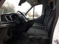 Ford Transit Kasten 350 L3 H3 Trend Navi 360° ACC SHZ Biały - thumbnail 10