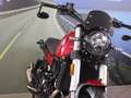Benelli Leoncino 500 - 2022 - km 6669 Rosso - thumbnail 10