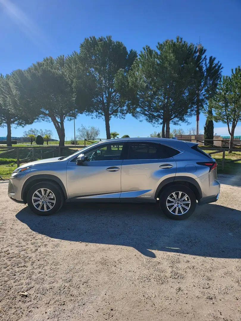 Lexus NX 300h Business Line - 2