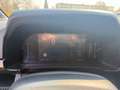 Ford Ranger Ranger Doppelkabine MSRT e-4WD 3,0 EcoBlue Aut. Grau - thumbnail 13
