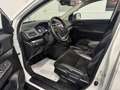 Honda CR-V CR-V IV 2015 1.6 Executive Navi Bianco - thumbnail 8