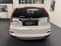 Honda CR-V CR-V IV 2015 1.6 Executive Navi Bianco - thumbnail 6