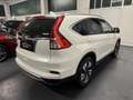 Honda CR-V CR-V IV 2015 1.6 Executive Navi Bianco - thumbnail 7