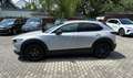 Mazda CX-30 G122 Homura Aut. - thumbnail 2