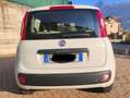 Fiat Panda Panda easy 69cv Bianco - thumbnail 7