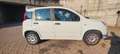 Fiat Panda Panda easy 69cv Bianco - thumbnail 1