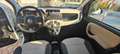 Fiat Panda Panda easy 69cv Bianco - thumbnail 4