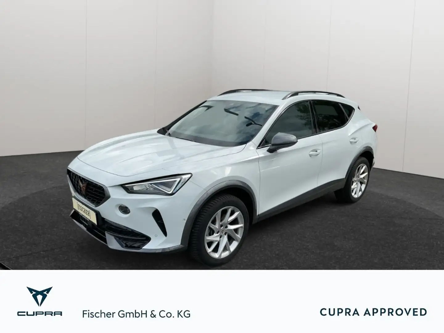 CUPRA Formentor 2.0TDI DSG 4drive LED Navi SHZ Rear View ACC PDC V Weiß - 1
