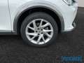 CUPRA Formentor 2.0TDI DSG 4drive LED Navi SHZ Rear View ACC PDC V Weiß - thumbnail 8