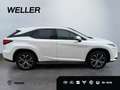 Lexus RX 450h L Executive Line AWD*NAVI*PANO*HUD* Weiß - thumbnail 12