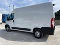 Fiat Ducato L2H2 MULTIJET 115 PACK PRO NAVIGATION - thumbnail 2