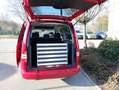 Volkswagen Caddy Rollstuhlumbau Maxi Rot - thumbnail 7