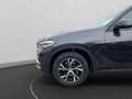 BMW X5 xDrive25d Parking Assis. Plus Sitzhzg. Grau - thumbnail 14