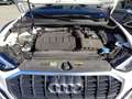 Audi Q3 35 TDI quattro S tronic Business Advanced Bianco - thumbnail 10