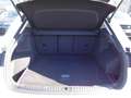 Audi Q3 35 TDI quattro S tronic Business Advanced Bianco - thumbnail 11