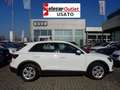 Audi Q3 35 TDI quattro S tronic Business Advanced Bianco - thumbnail 3