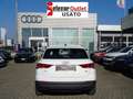 Audi Q3 35 TDI quattro S tronic Business Advanced Bianco - thumbnail 5