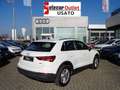 Audi Q3 35 TDI quattro S tronic Business Advanced Bianco - thumbnail 4