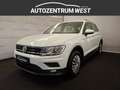 Volkswagen Tiguan 2,0 TDI CL DSG...NAVI/ACC/SH Weiß - thumbnail 1