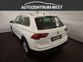 Volkswagen Tiguan 2,0 TDI CL DSG...NAVI/ACC/SH Weiß - thumbnail 7