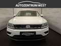 Volkswagen Tiguan 2,0 TDI CL DSG...NAVI/ACC/SH Weiß - thumbnail 3