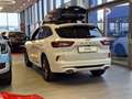 Ford Kuga 2,5 Duratec FHEV Sound Edition Weiß - thumbnail 3