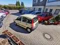 Fiat Panda 1.1 8V Active/1.Hand / nur 99.255KM/ E Paket/Bluet Beige - thumbnail 29