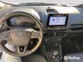 Ford EcoSport 1.0 EcoBoost 125 CV Start&Stop Titanium Grau - thumbnail 5