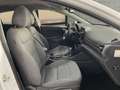 Hyundai IONIQ HEV 1.6 GDI Tecno Blanc - thumbnail 18
