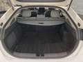 Hyundai IONIQ HEV 1.6 GDI Tecno Blanc - thumbnail 13