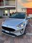 Ford Fiesta Fiesta VII 5p 1.5 ecoblue (tdci) Vignale 85cv my19 Grigio - thumbnail 4