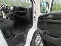 Fiat Ducato 2.2 MJET3 140 CV. L3H2 Weiß - thumbnail 6