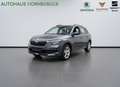 Skoda Kamiq Ambition 150PS Grau - thumbnail 1