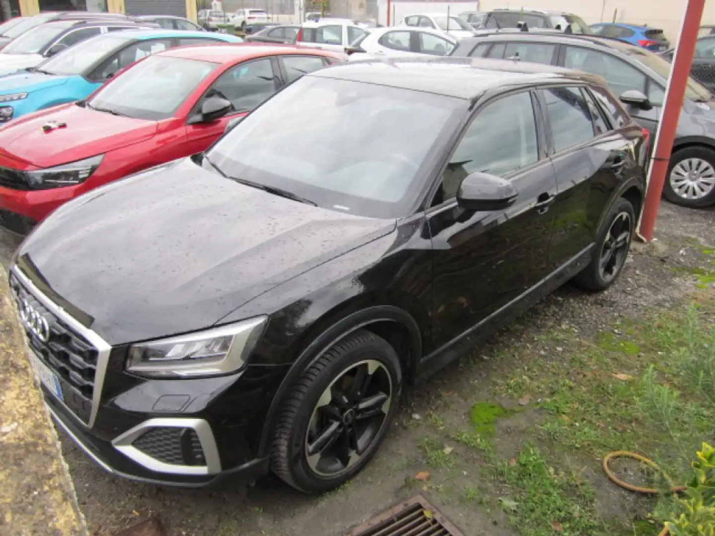 Audi Q2 35 TFSI Business Advanced Negro - 2