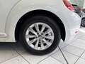 Volkswagen Beetle Design BlueMotion 1,2 TSI 105 PS Weiß - thumbnail 8