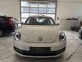 Volkswagen Beetle Design BlueMotion 1,2 TSI 105 PS Weiß - thumbnail 3