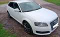 Audi A3 A3 SB 1,6 Jubiläumsmodell Jubiläumsmodell Weiß - thumbnail 1