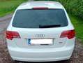 Audi A3 A3 SB 1,6 Jubiläumsmodell Jubiläumsmodell Weiß - thumbnail 6