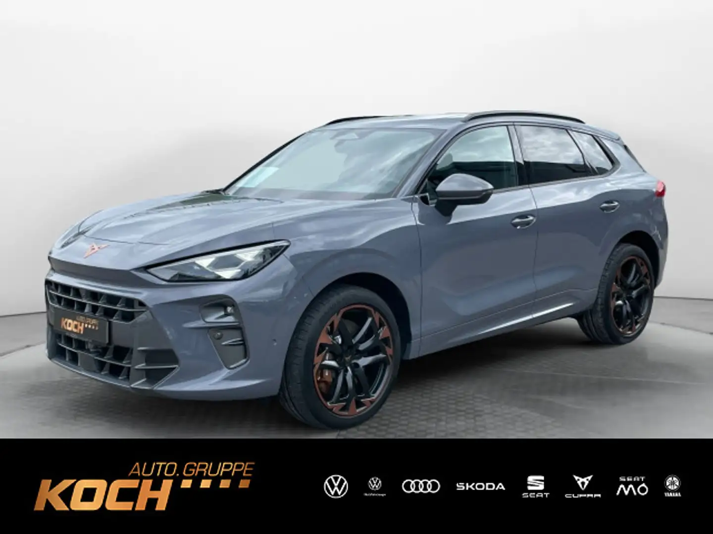 CUPRA Terramar VZ 2.0 TSI 4Drive ACC*DCC*SHZ*Pano*Matr Grau - 1